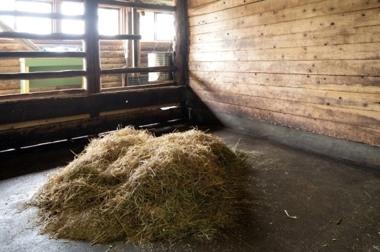 Vloer voor in de paardenstal: maak de juiste keuze