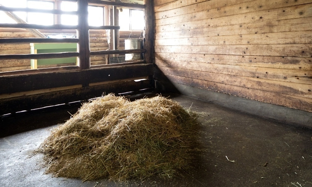 Vloer voor in de paardenstal: maak de juiste keuze